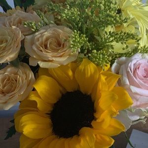 Meet your Posher, Bethsaida